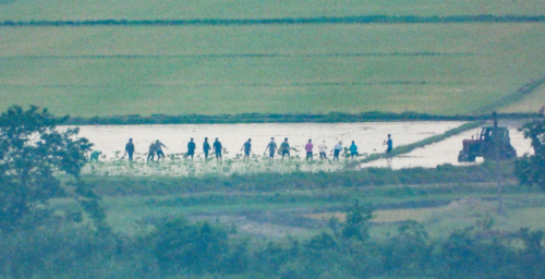 Up close and personal: The best border observatories to see North Korean life